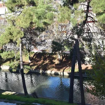 And Modern Flat By The River *